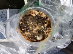 -张醪糟(街子店)