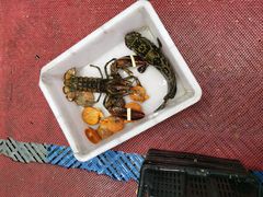 -阿浪海鲜连锁•海鲜加工•老字号(第一市场店)