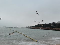 -青岛第一海水浴场