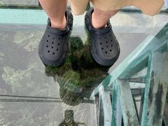 -呀诺达热带雨林