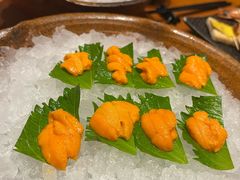 -月龍吟(朝龙汇店)