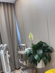 -杭州米兰柏羽医疗美容医院