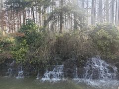 -上海怡沁园度假酒店