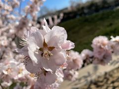 -滨河世纪广场公园