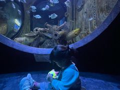 -成都浩海立方海洋公园