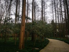 -杭州西湖风景名胜区-章太炎纪念馆