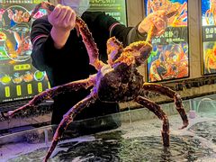 -蟹之国·精品蟹料理(极地店)