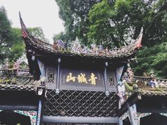 -张醪糟