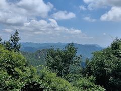 -大岭沟猕猴桃谷风景区