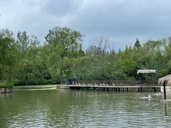 -溱湖国家湿地公园