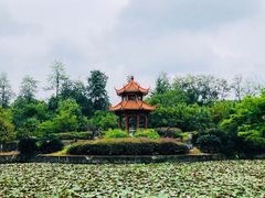 -四川大学(望江校区)