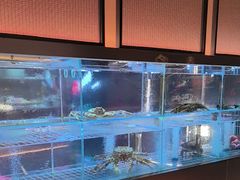 -苏淮景·苏闽融创菜·海鲜(原空港井河轩店)