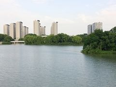 -九里河湿地公园