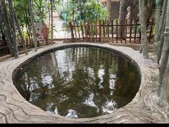 -龙达温泉生态城