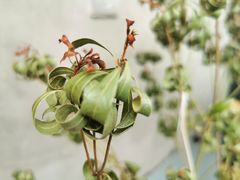 -十一咖啡(青年大街工厂店)