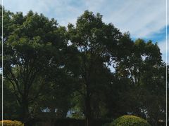 -上海爱以德护理院·康复(宝山院)
