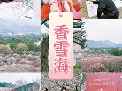-香雪海