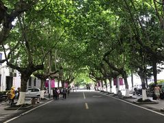 -四川农业大学(雅安校区)