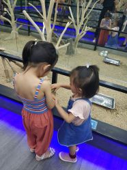 -未来动物城主题公园(正弘城店)