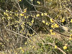 -宁波市保国寺古建筑博物馆