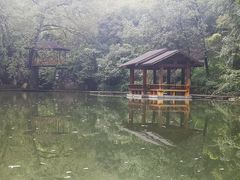 -善卷洞风景区
