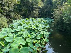 -成都杜甫草堂博物馆
