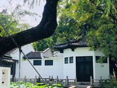 -红梅公园
