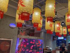 -朱光玉火锅馆(正弘城店)