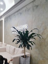 -上海首尔丽格医疗美容医院