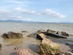 -深圳湾公园(南山区)