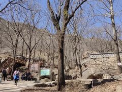 -大岭沟猕猴桃谷风景区