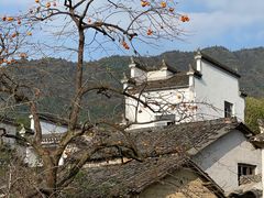 -塔川景区
