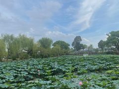 -无锡蠡湖国家湿地公园-蠡园
