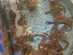 -锦昌酒楼(即墨店)