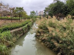 -广西壮族自治区药用植物园