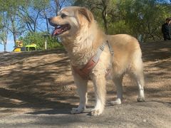 -纳吉亚猫专科动物诊疗中心(蒋宅口分院)