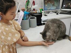 -喵园·猫主题咖啡厅·撸猫·猫咖(国贸店)