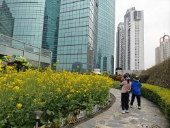 点击看大图 -头号顽家·萌宠生日派对·轻奢策划(前滩店)