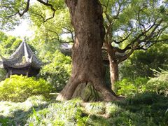 -惠山古镇·寄畅园
