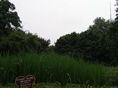 -成都市活水公园