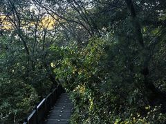 -帽儿山国家森林公园