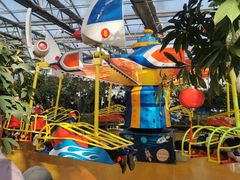 -南宫五洲植物乐园