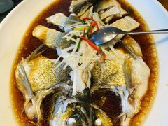 -丹江渔村(望京店)