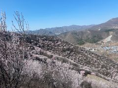 -定都阁