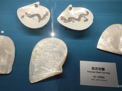 -青岛贝壳博物馆