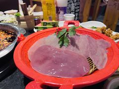 -一斗火锅·招财羊毛肚(泰吉滨江店)