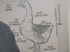 -春梅里卤鹅馆·47年老字号(中山路店)