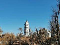 -西宁市人民公园(城西区)