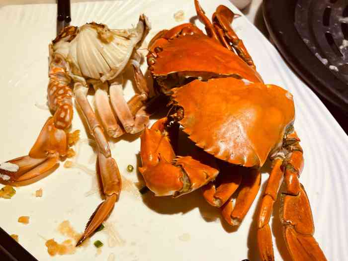 越百海海鲜蒸锅