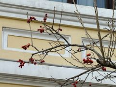 -哈尔滨工业大学-博物馆